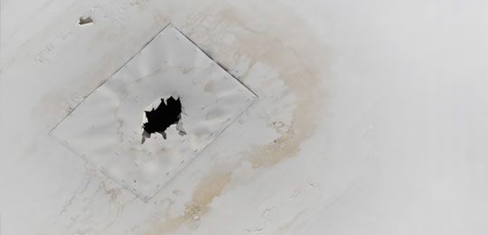 How to Find a Roof Leak: 4 Tips to Keep in Mind